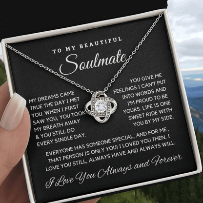 Soulmate Gift - My Dreams  Come True The Day I met You M210