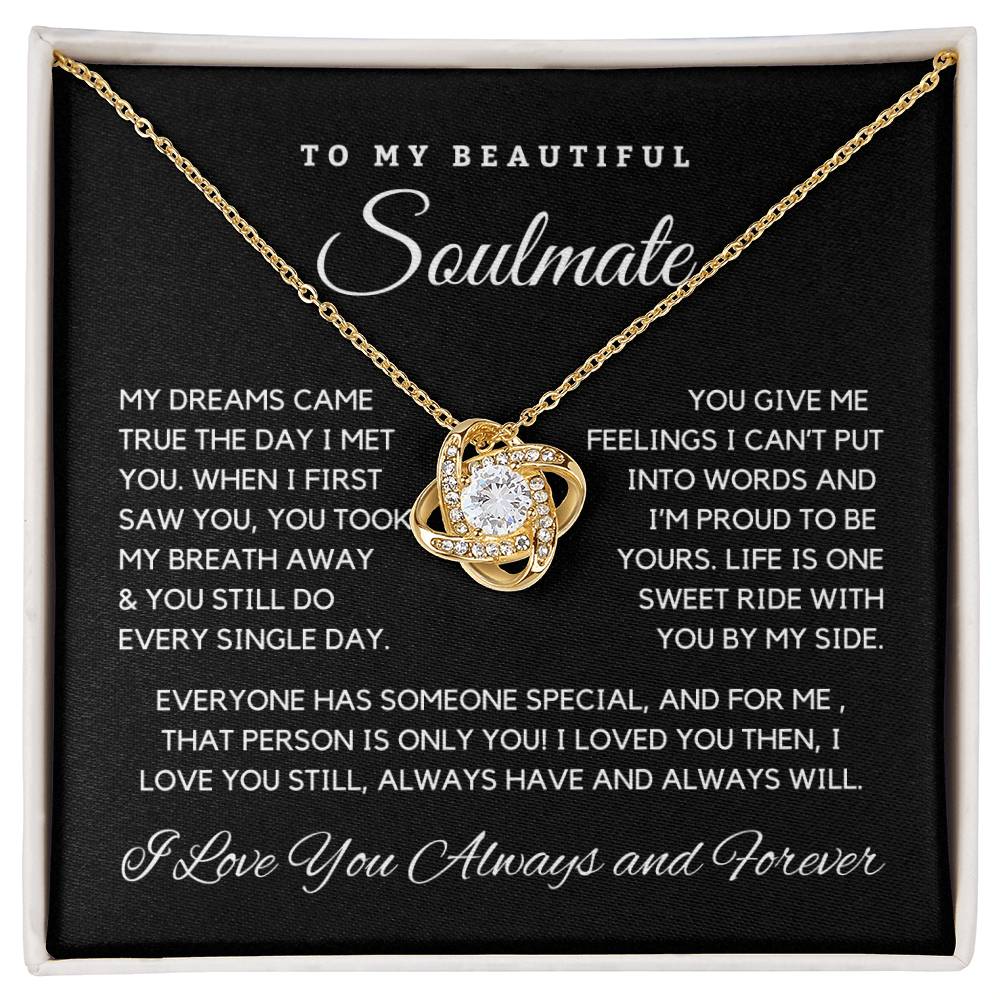 Soulmate Gift - My Dreams  Come True The Day I met You M210